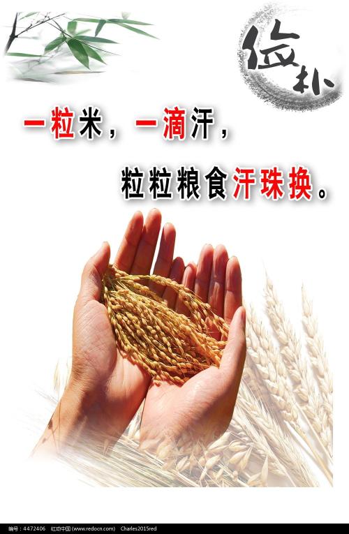 魏玛大学 Market Development Degrees